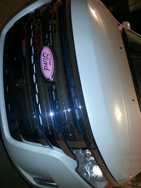 Before -- Chrome Grille with Pink Logo