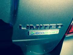 Ford Edge Ecoboost Badge