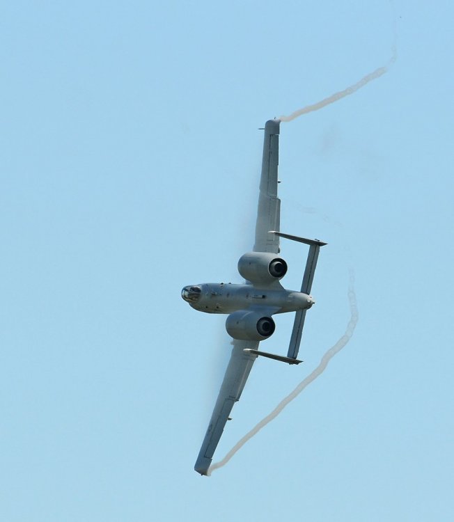 A-10 Warthog II_0730.jpg